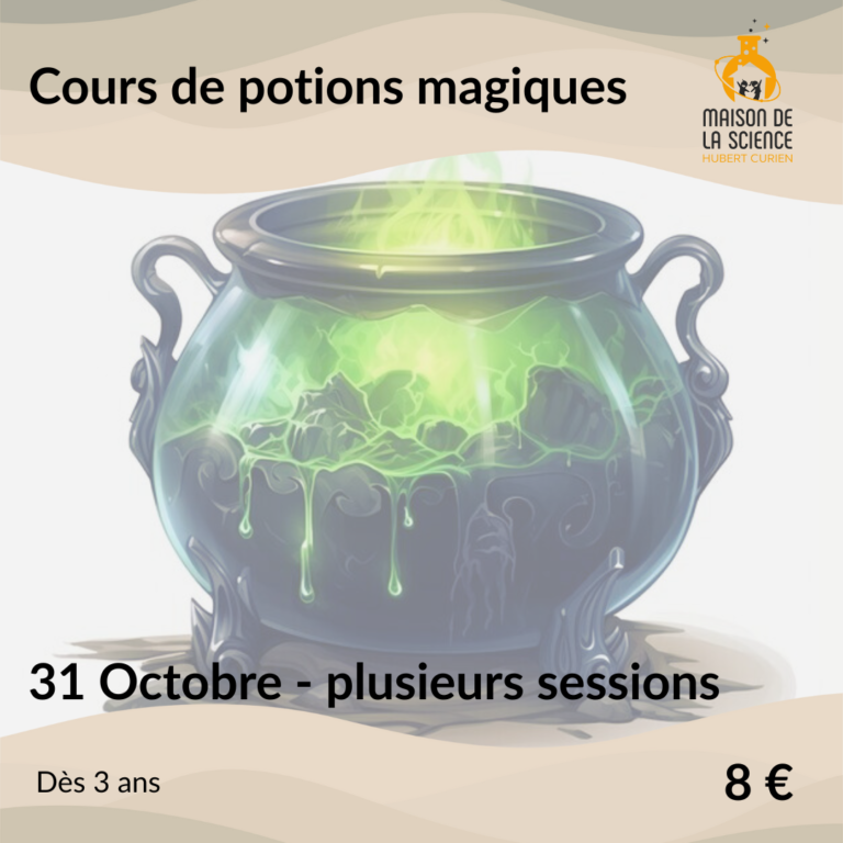 Cours de potions magiques
