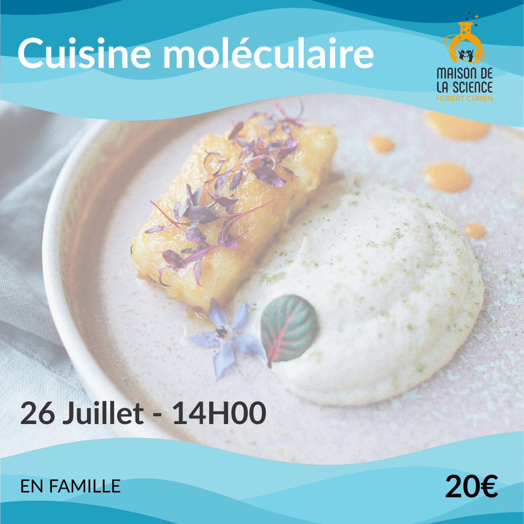 Cuisine moléculaire