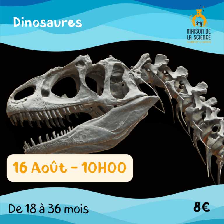 Dinosaures