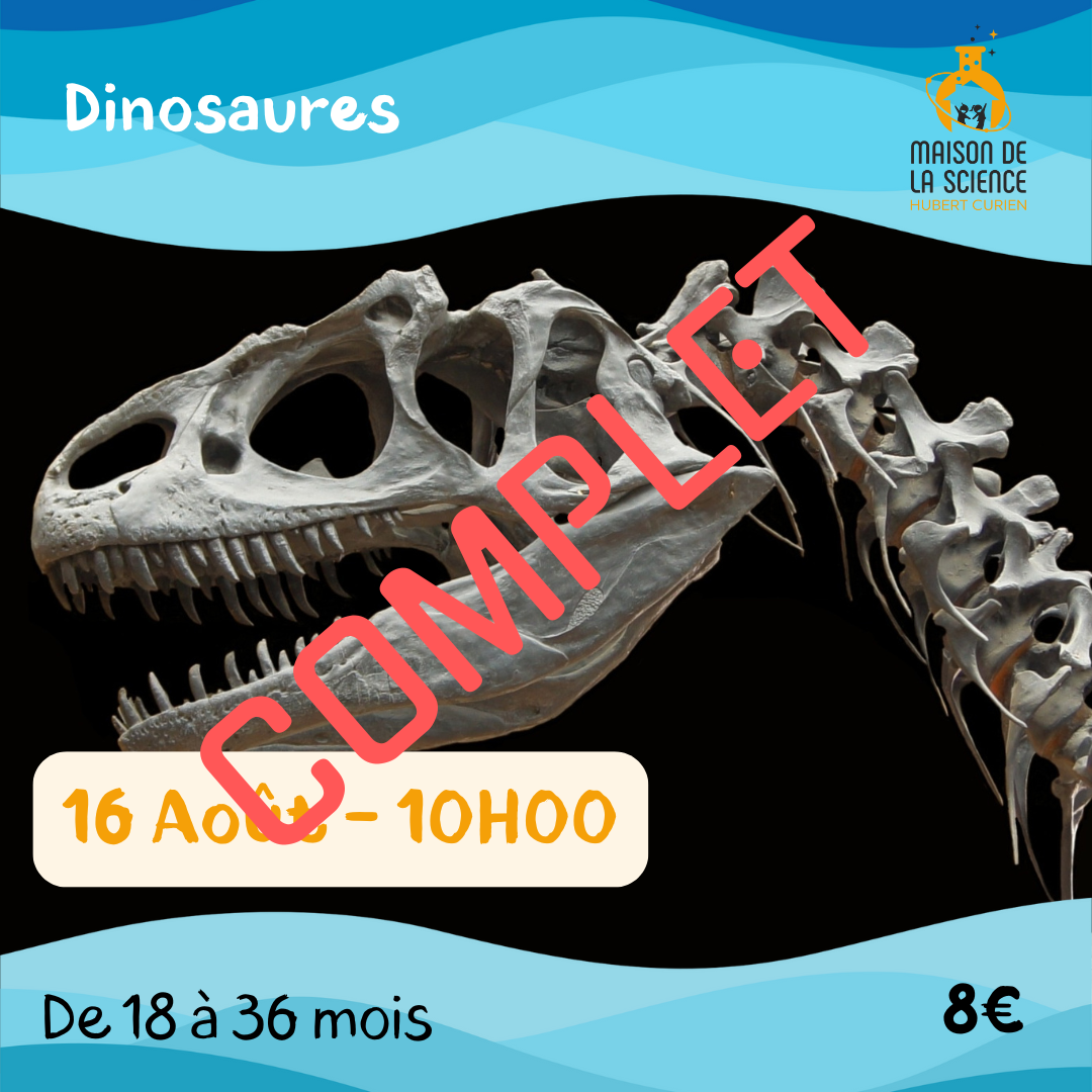 Dinosaures_complet