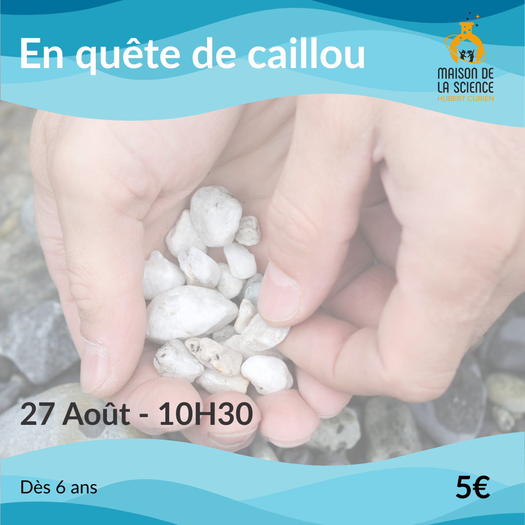 En quête de caillou