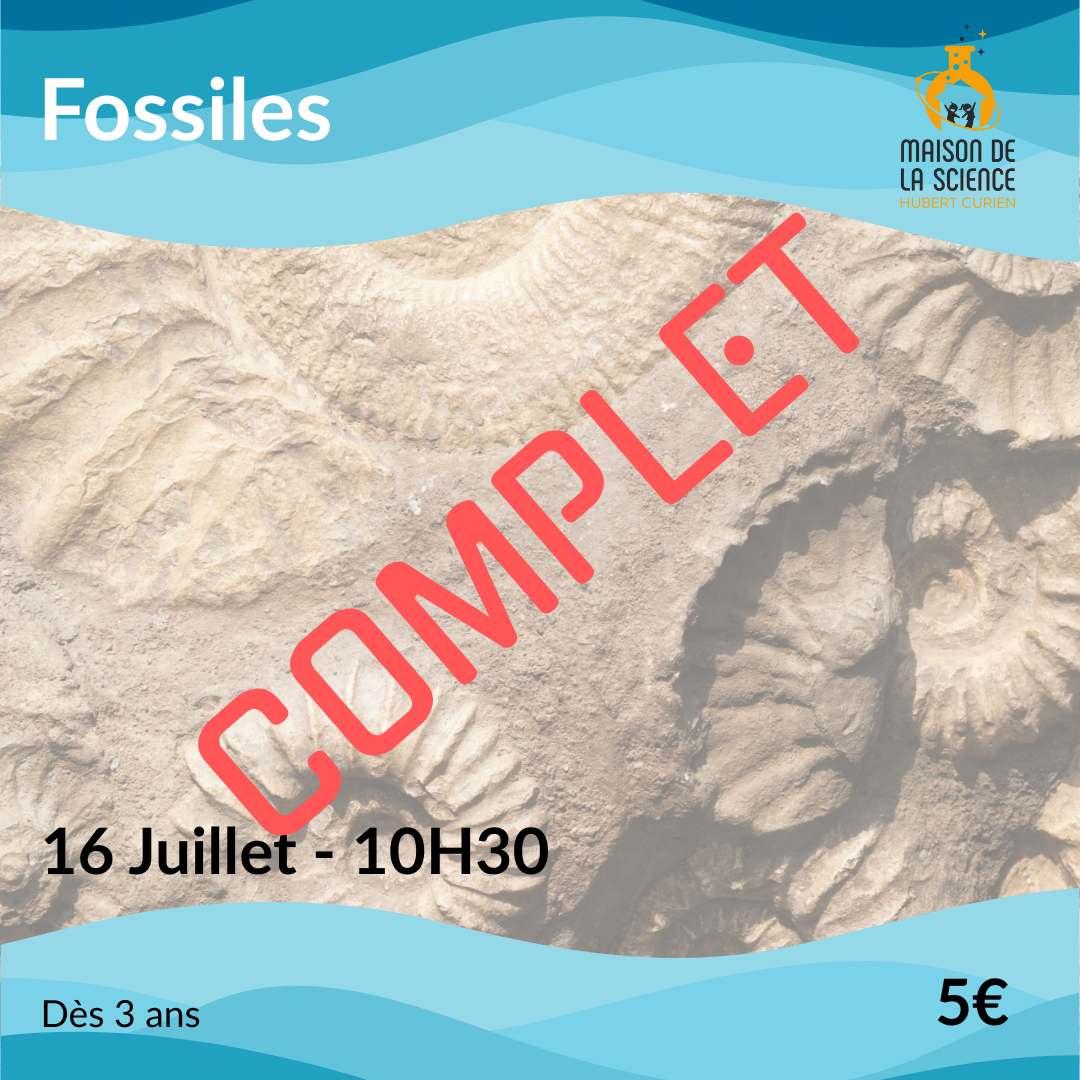 Fossiles_complet