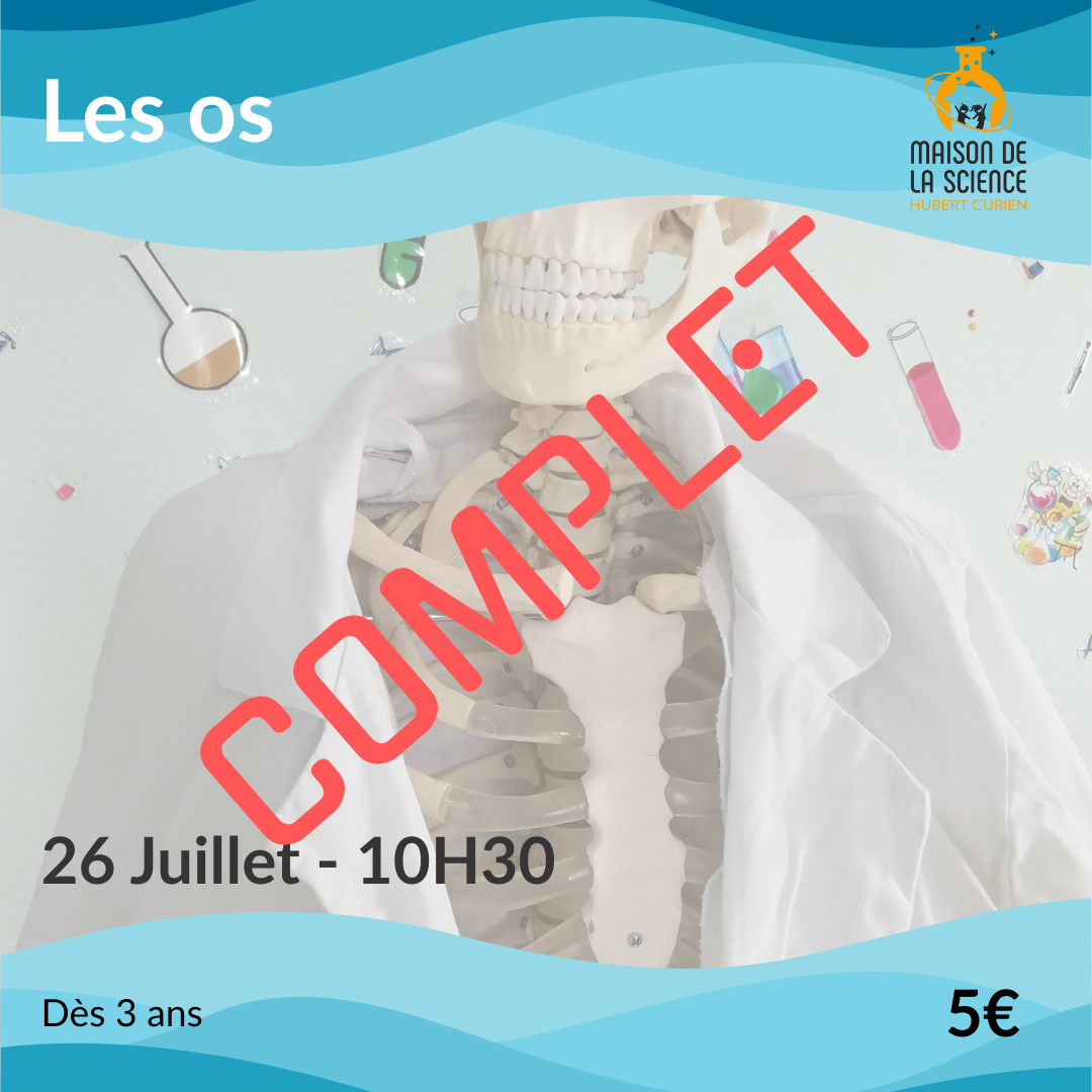 Les os
