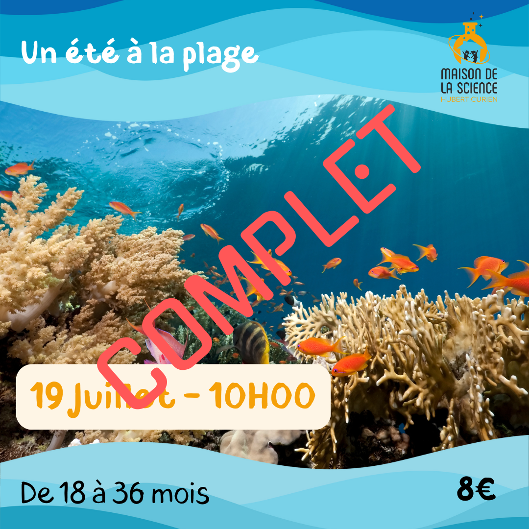 Océan_complet