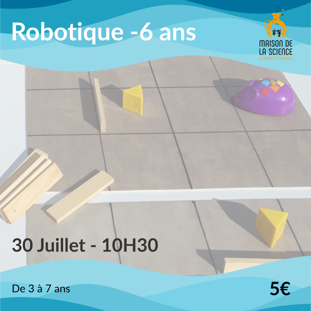 Robotique -6 nans