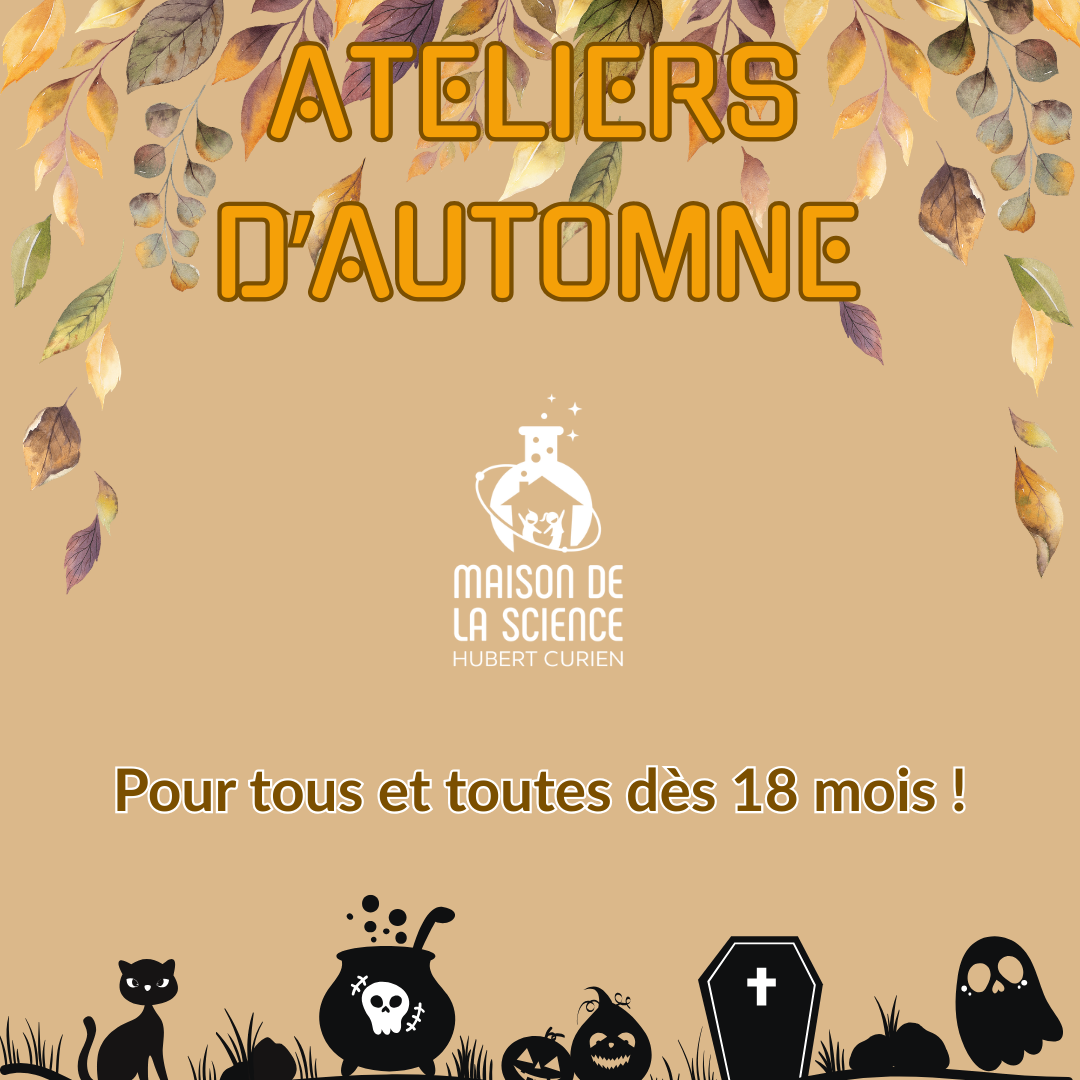 Visuel Semaine Aout - Base