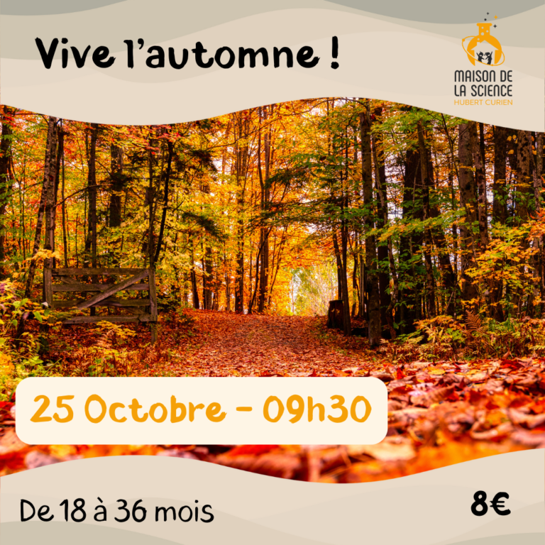Vive l'automne