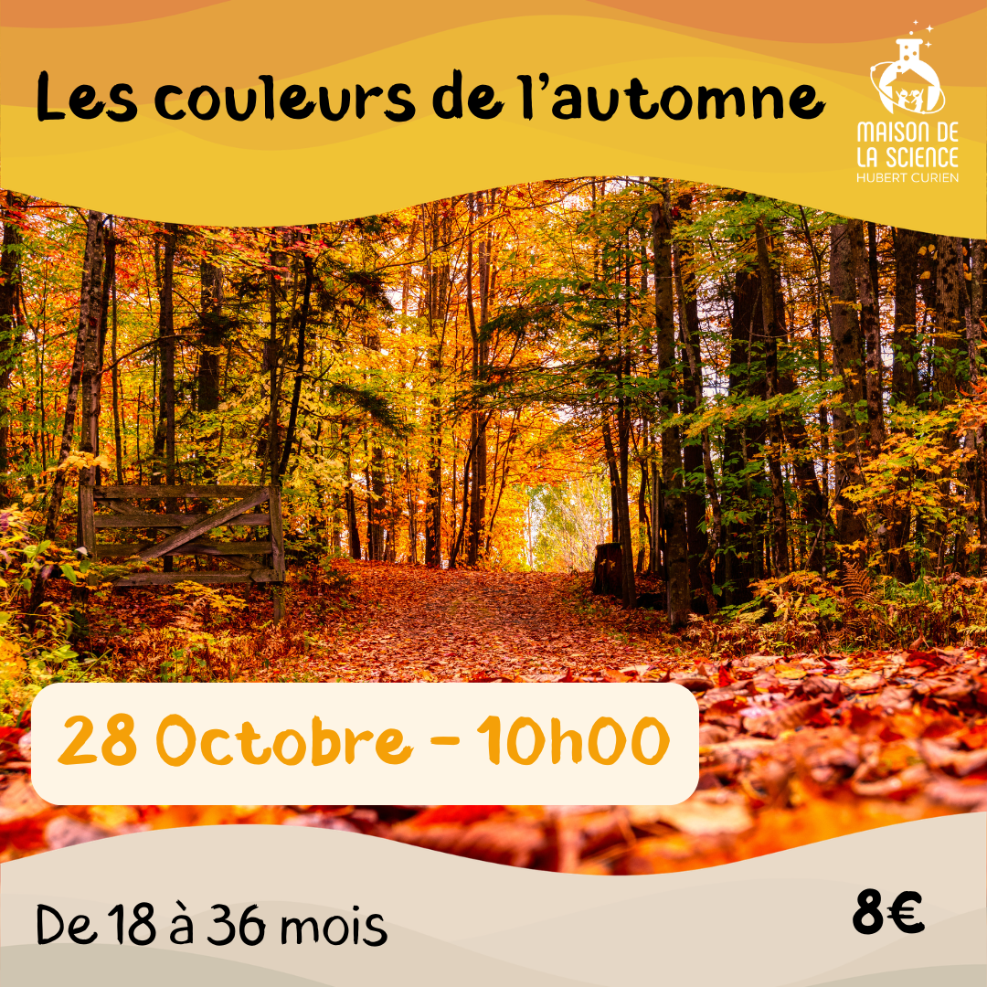 Vive l'automne
