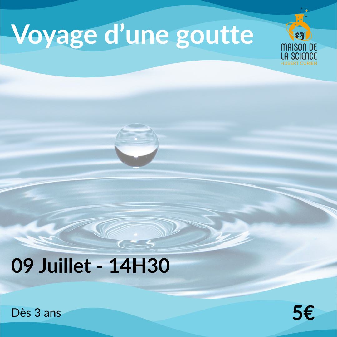 Voyage d'une goutte