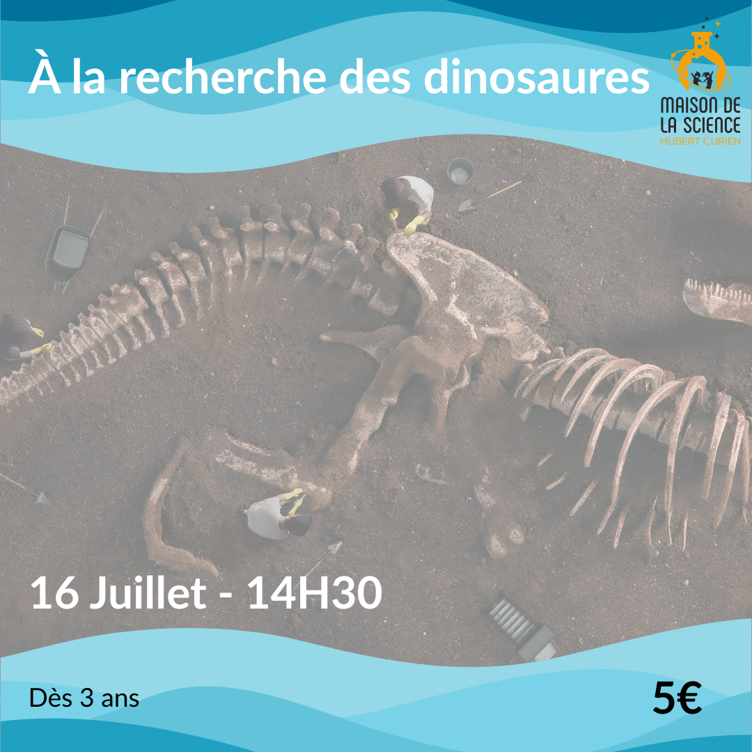 À la recherche des dinos