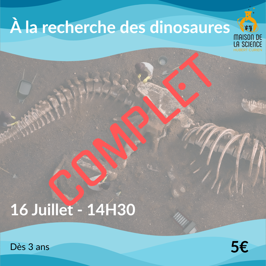 À la recherche des dinos_complet