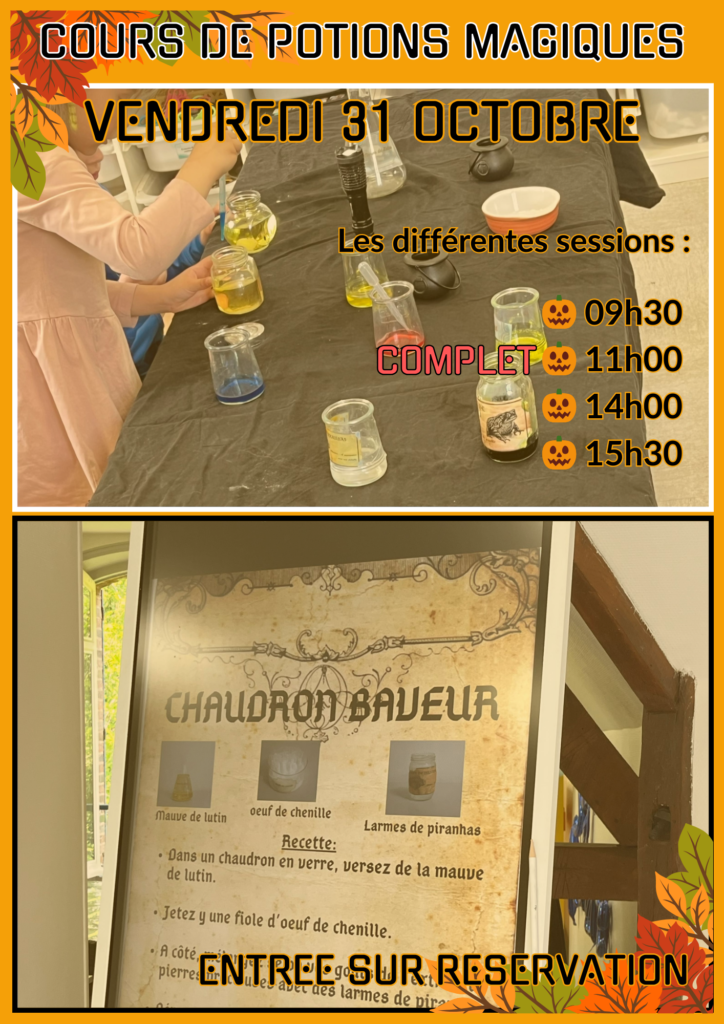 Affichage Potions Magiques - Complet 11h